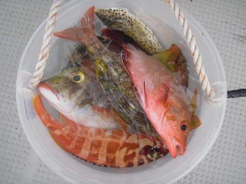 ゲストハウス備瀬の海 エクステリア 写真